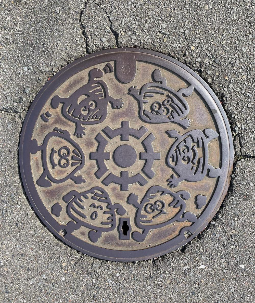 Image7