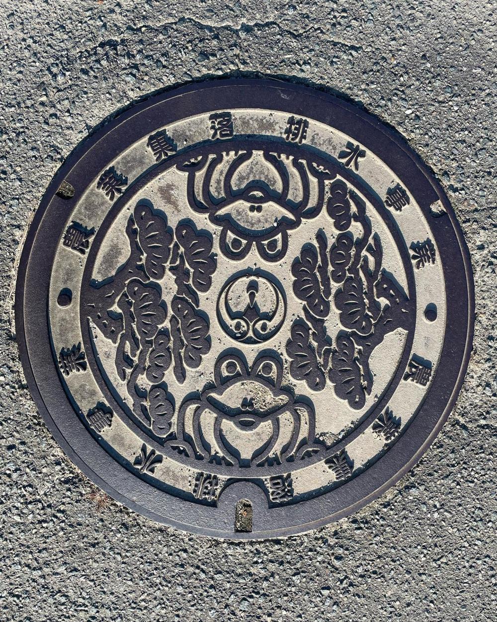 Image20