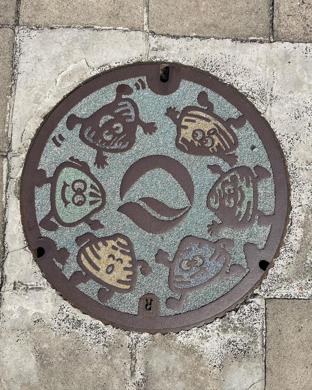 Image6