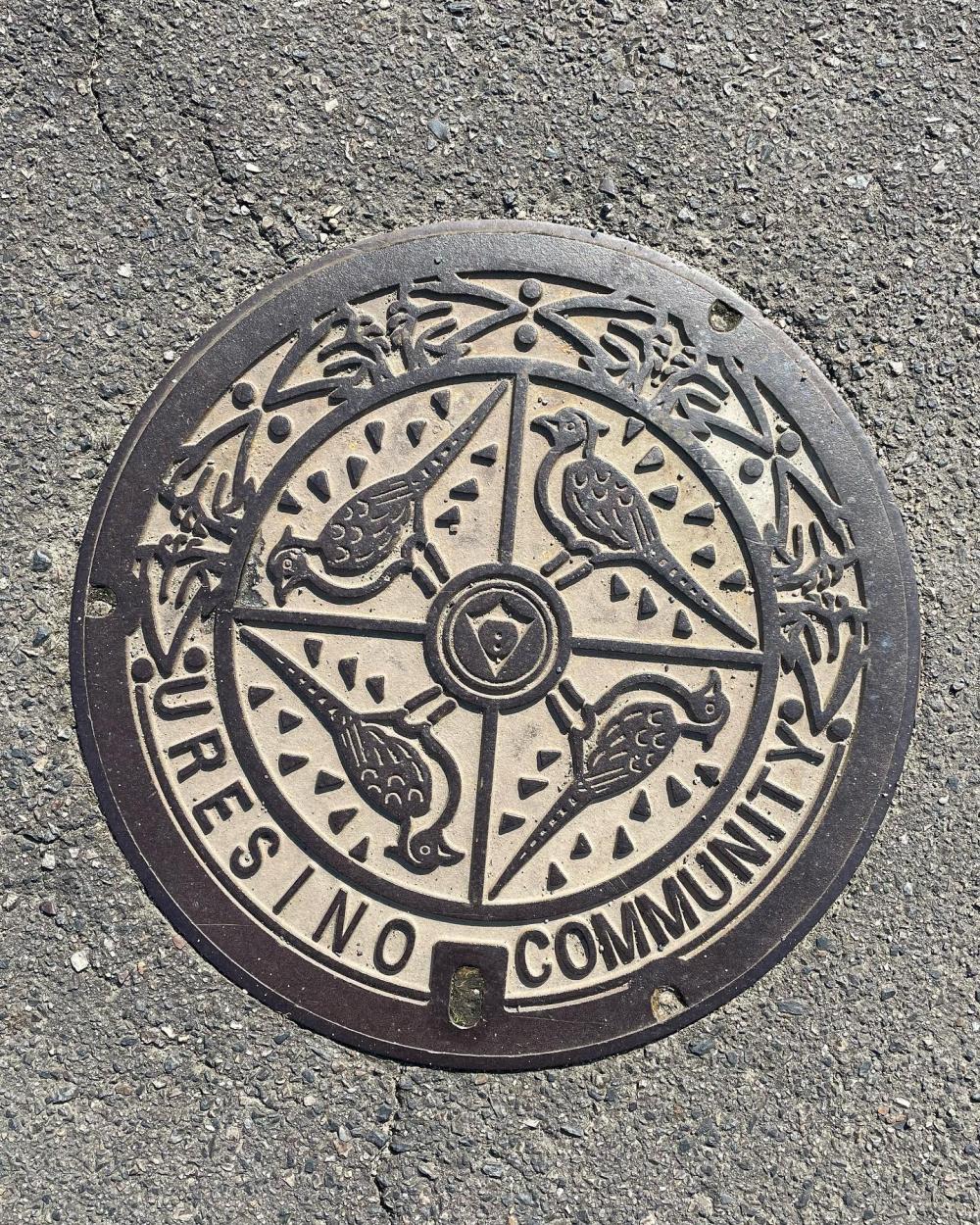 Image4