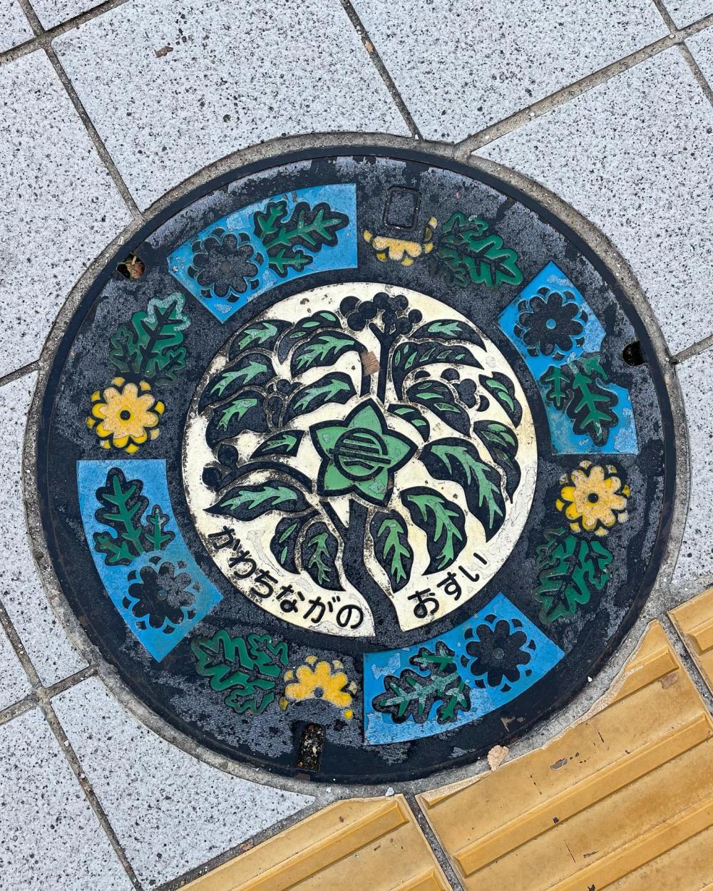 Image20