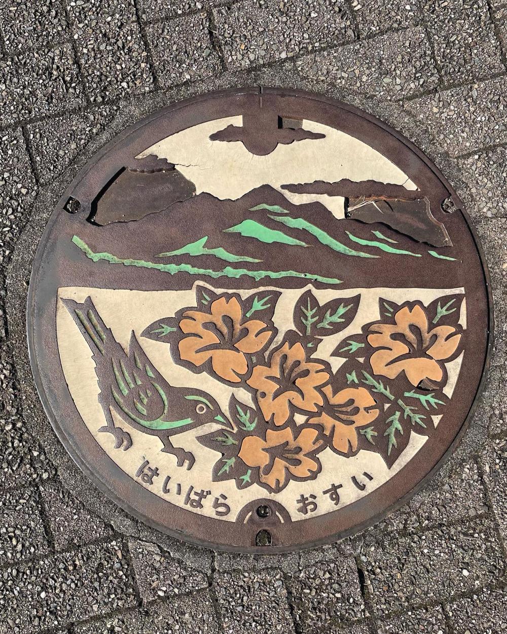Image11