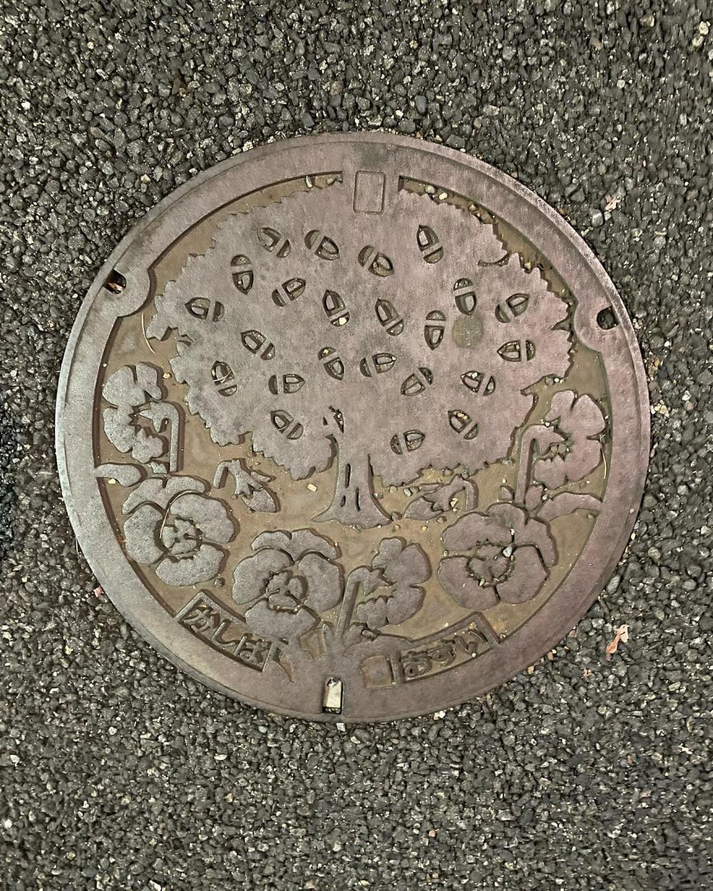 Image11
