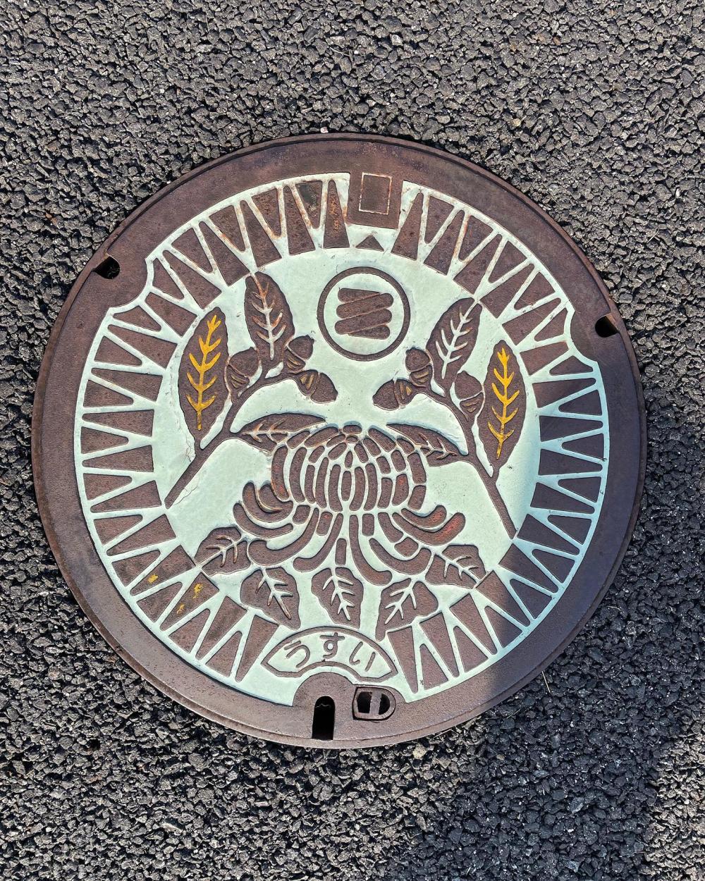 Image4