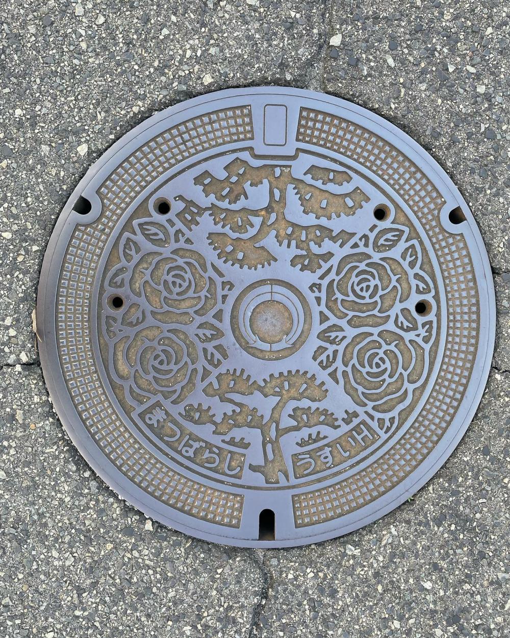 Image8