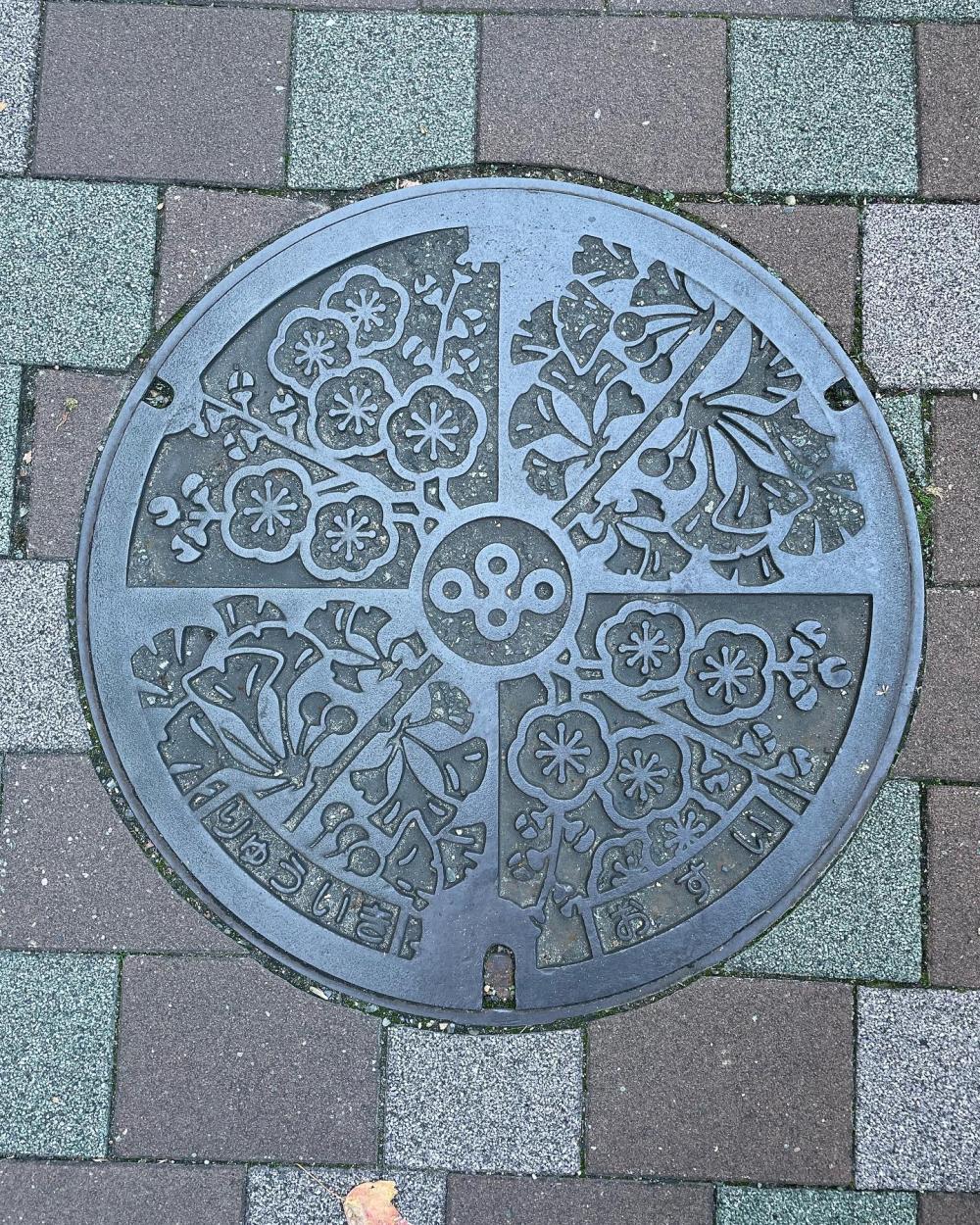 Image12