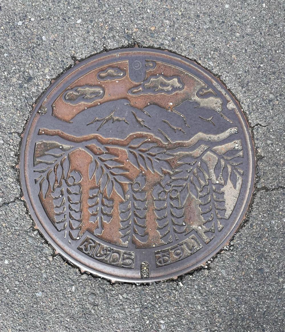 Image17