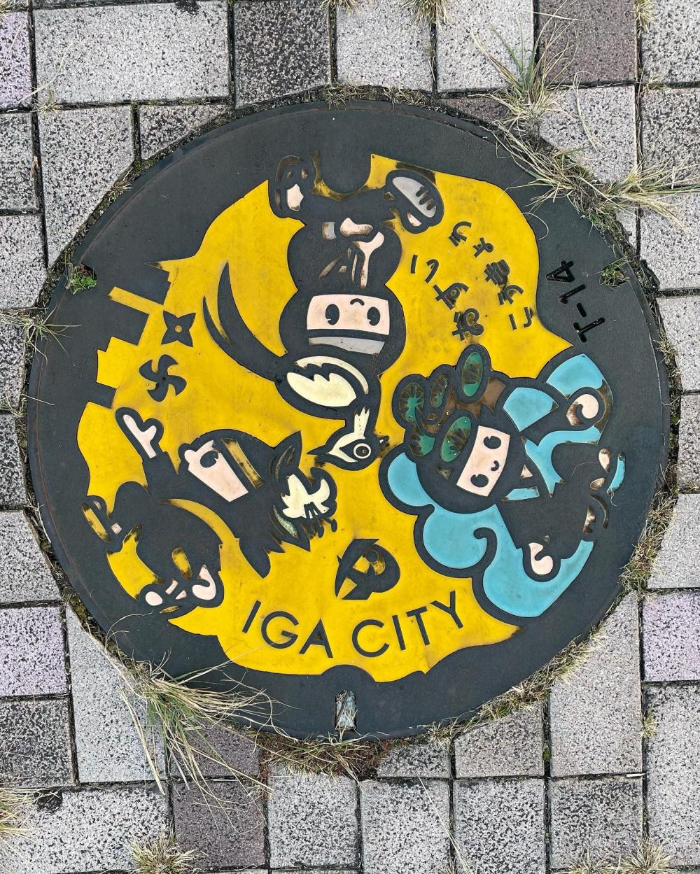 Image20