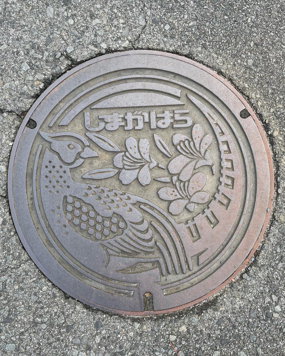 Image18