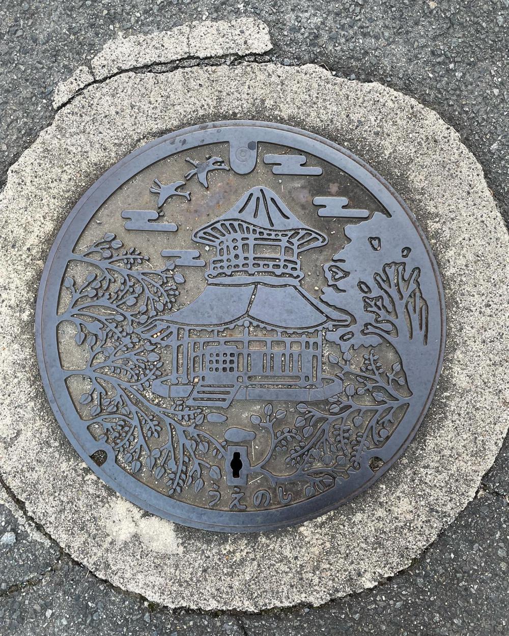 Image1