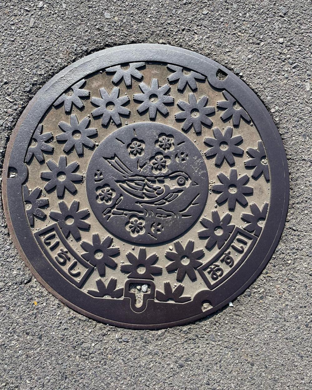 Image12