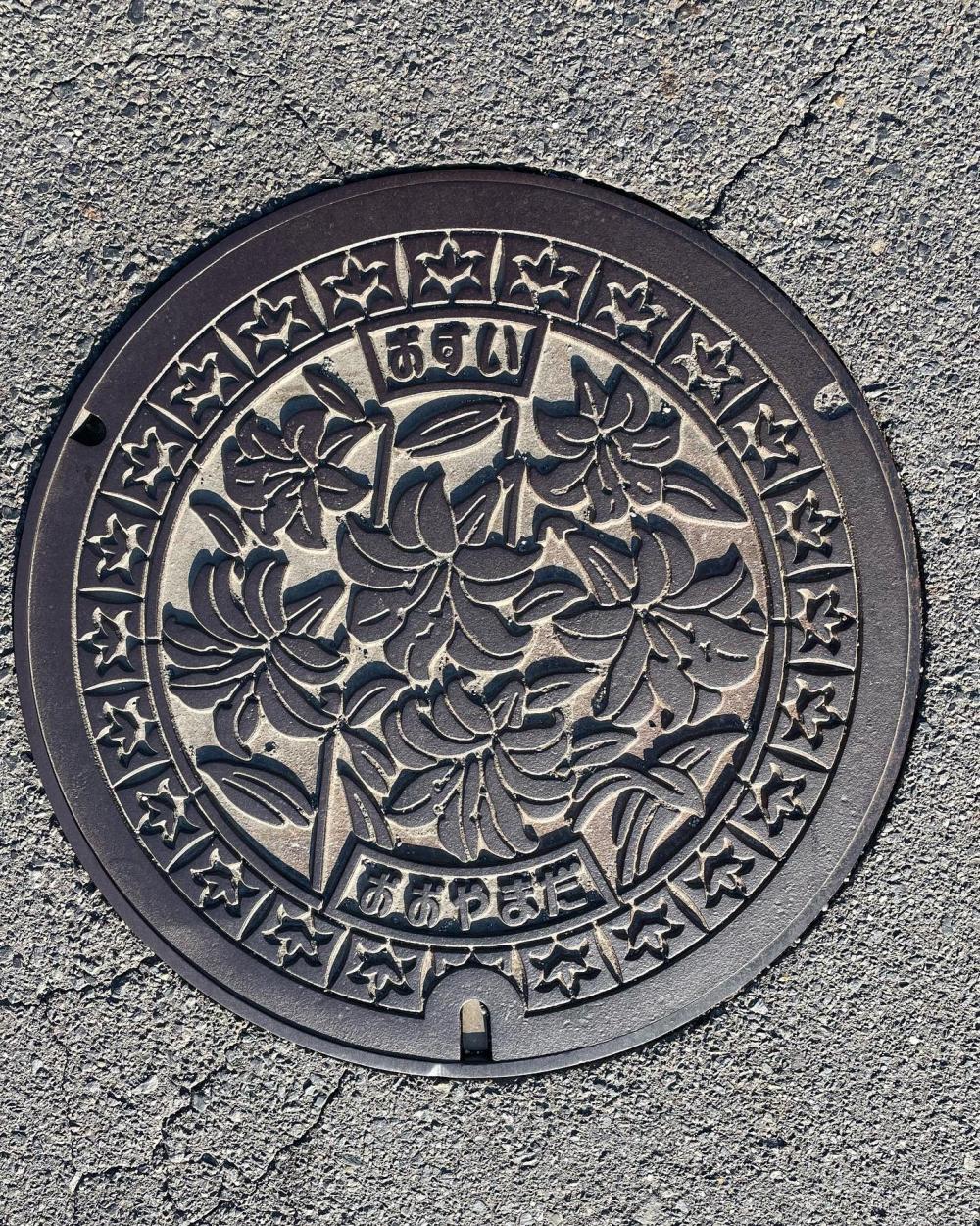 Image15