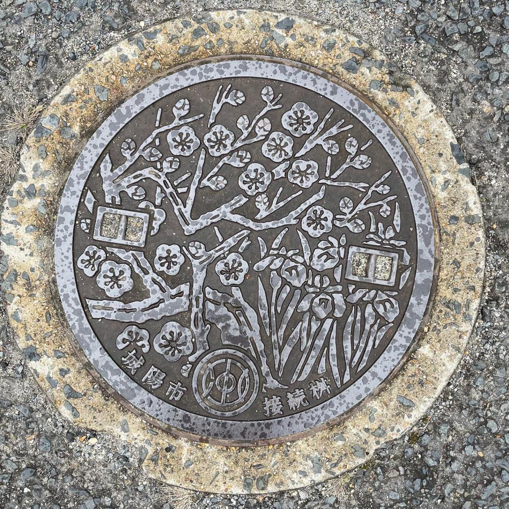 Image11