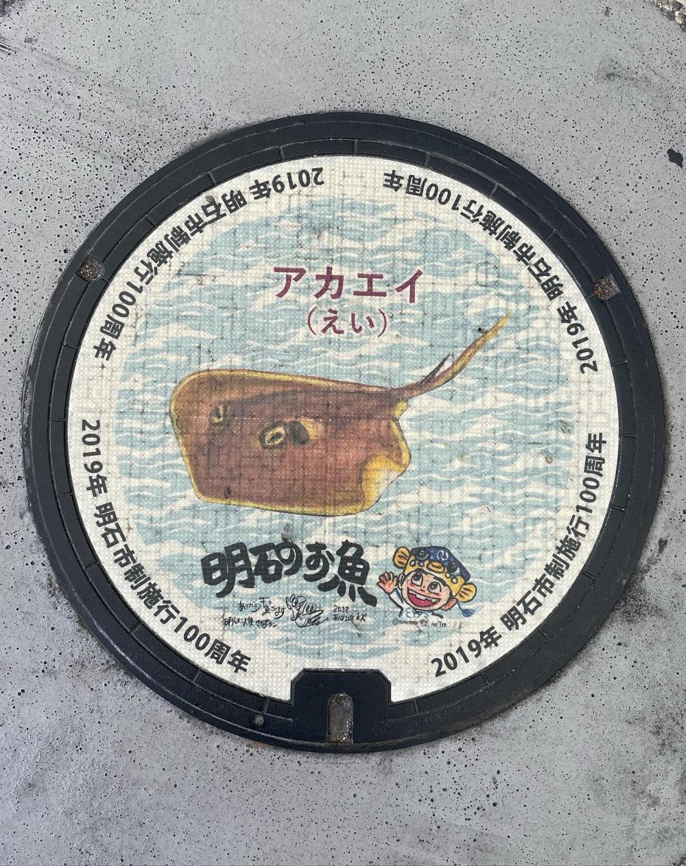 Image4
