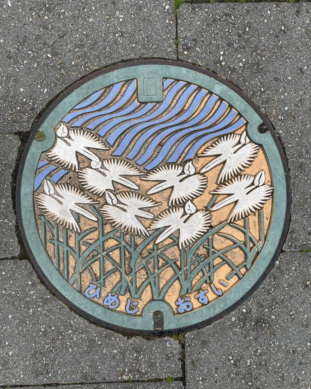 Image15
