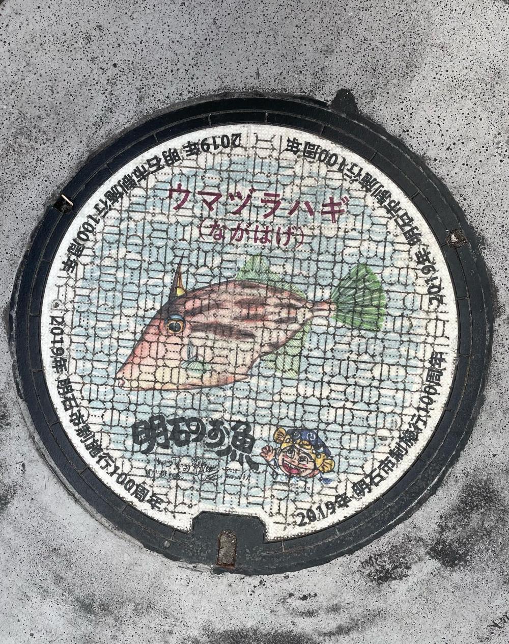 Image6