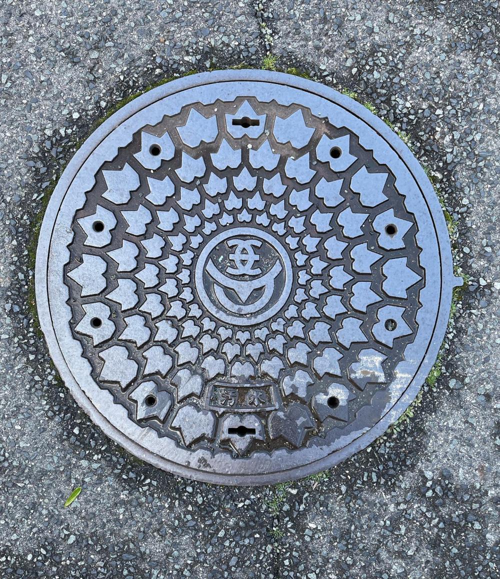 Image7