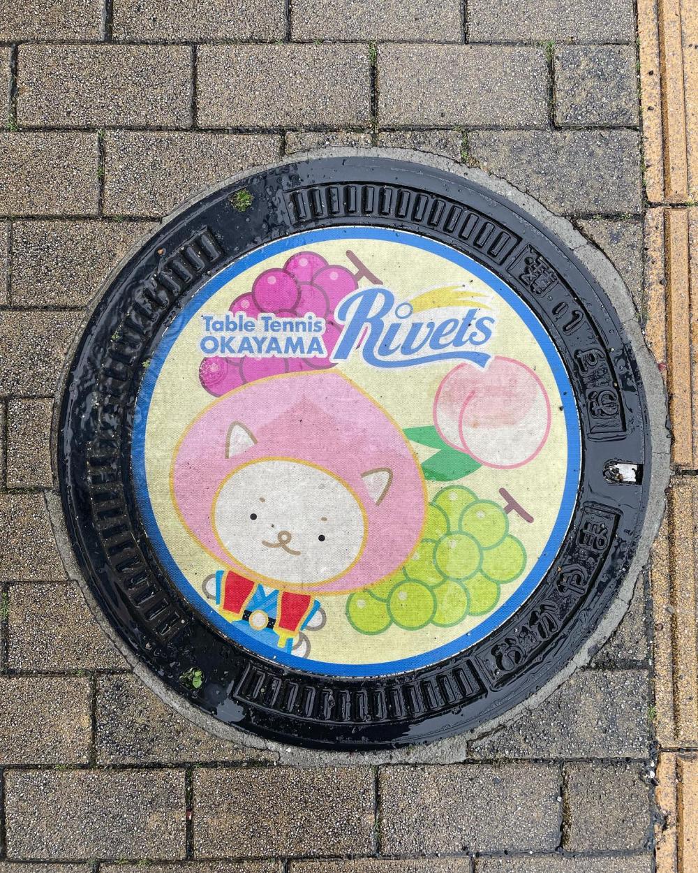 Image7