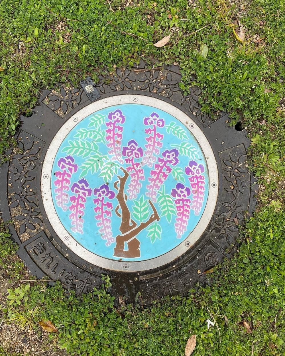 Image15