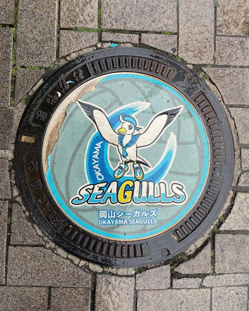 Image6