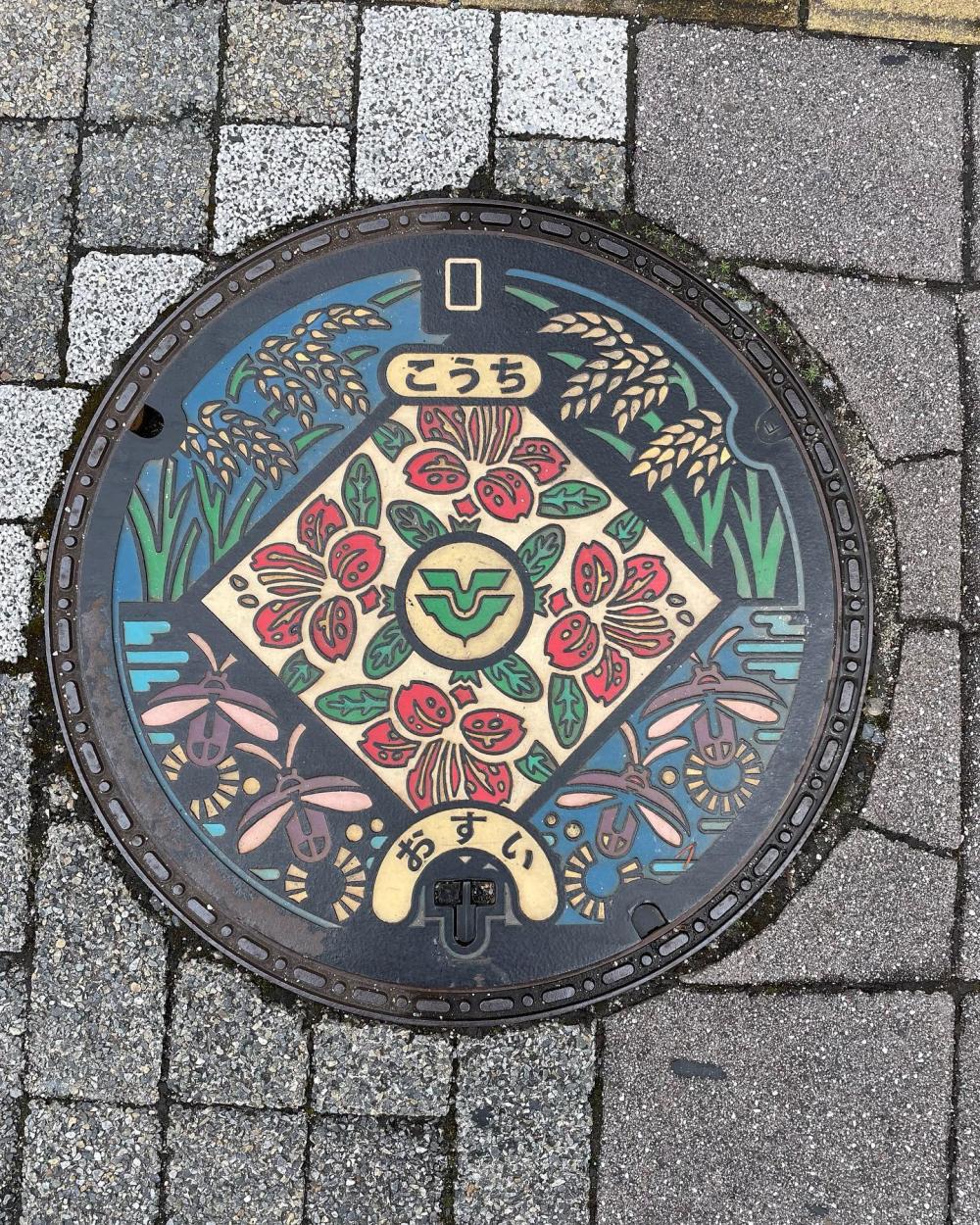 Image7