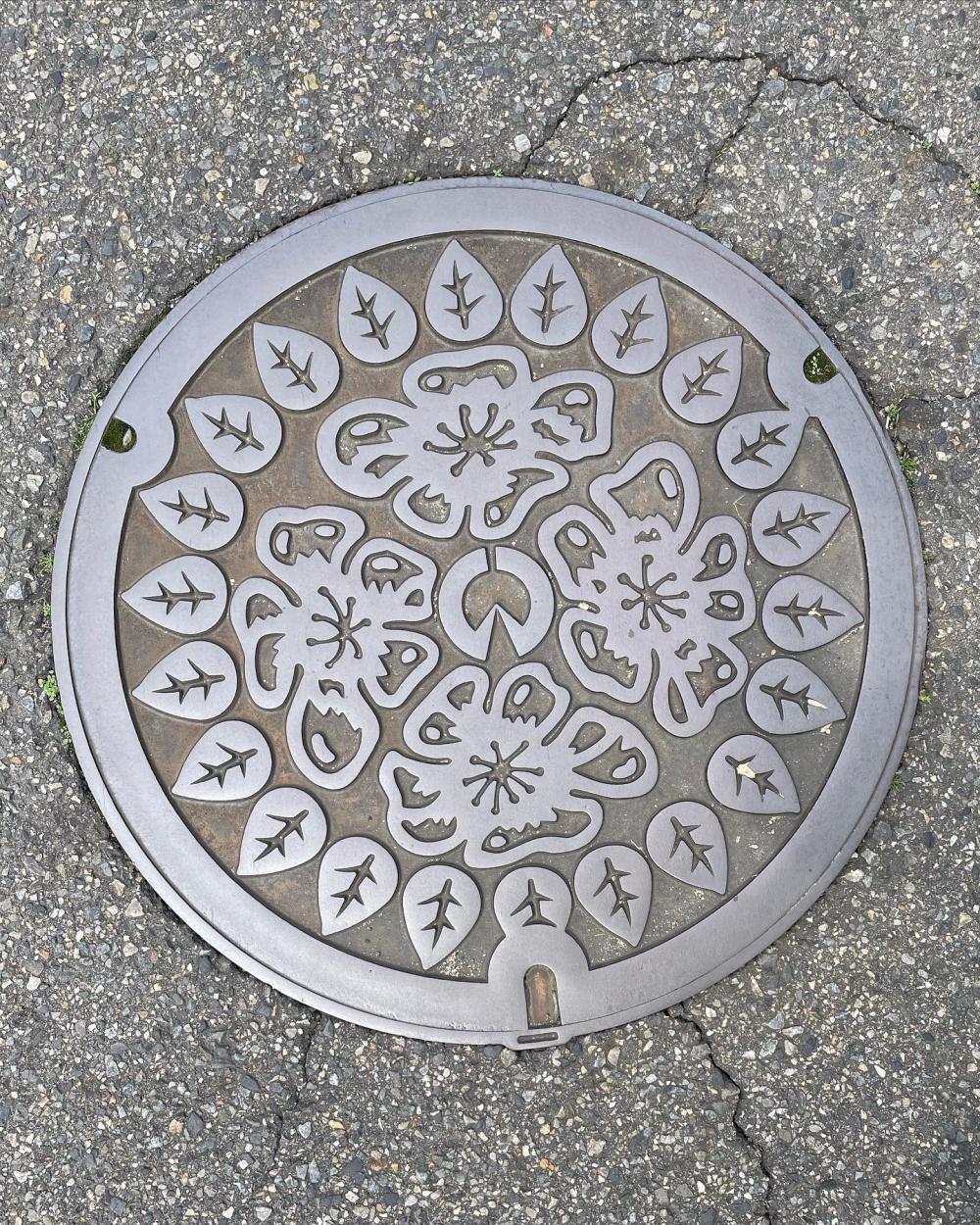Image11