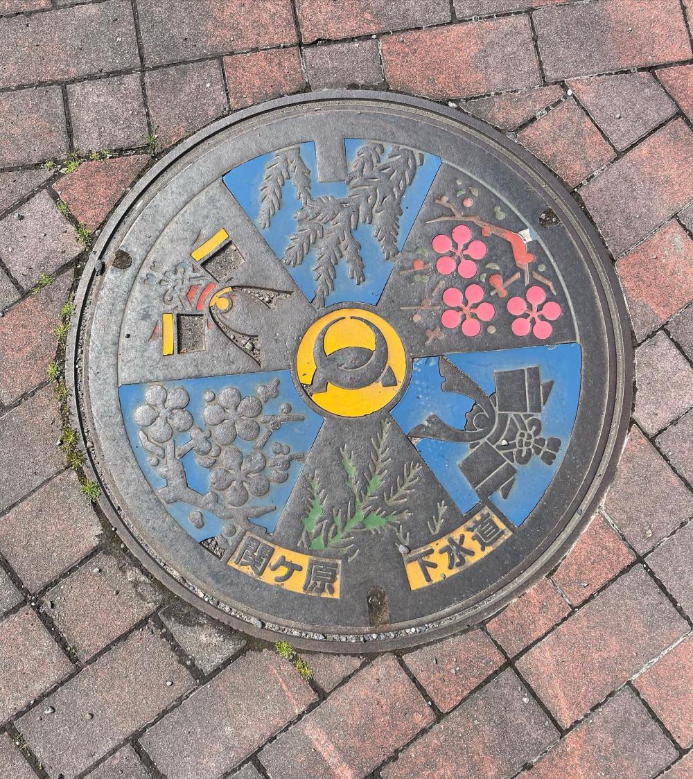 Image11
