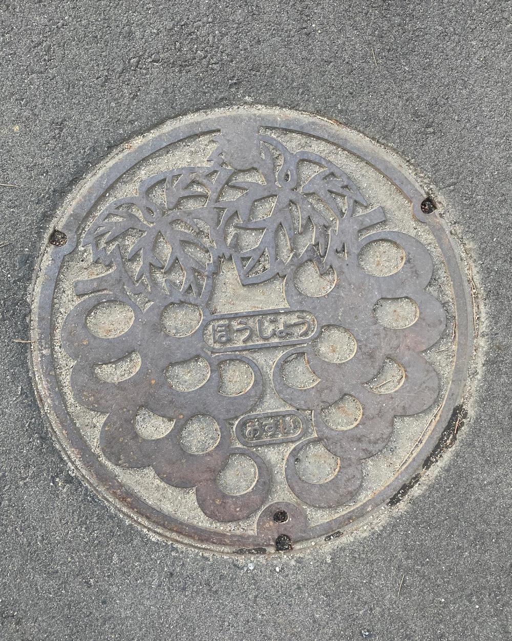 Image13