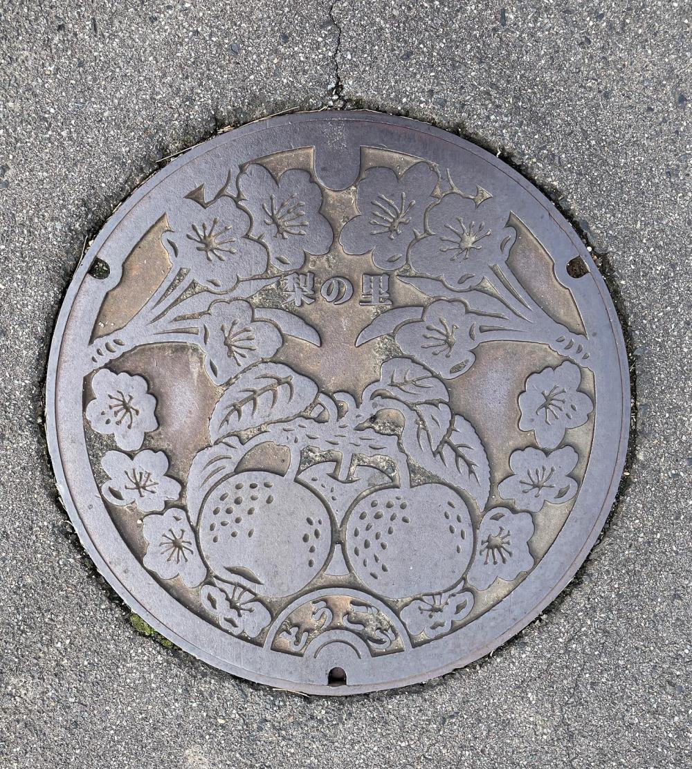 Image6