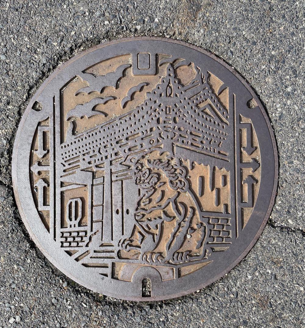 Image7