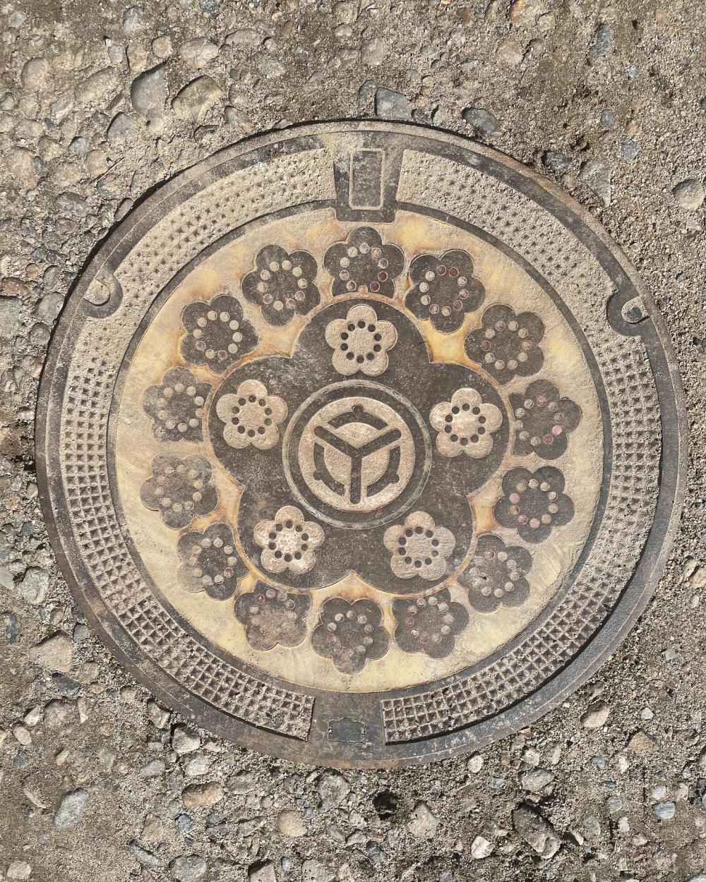 Image3