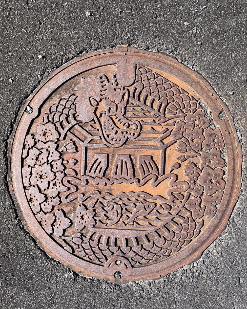Image6