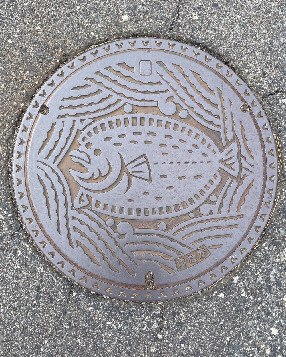 Image1