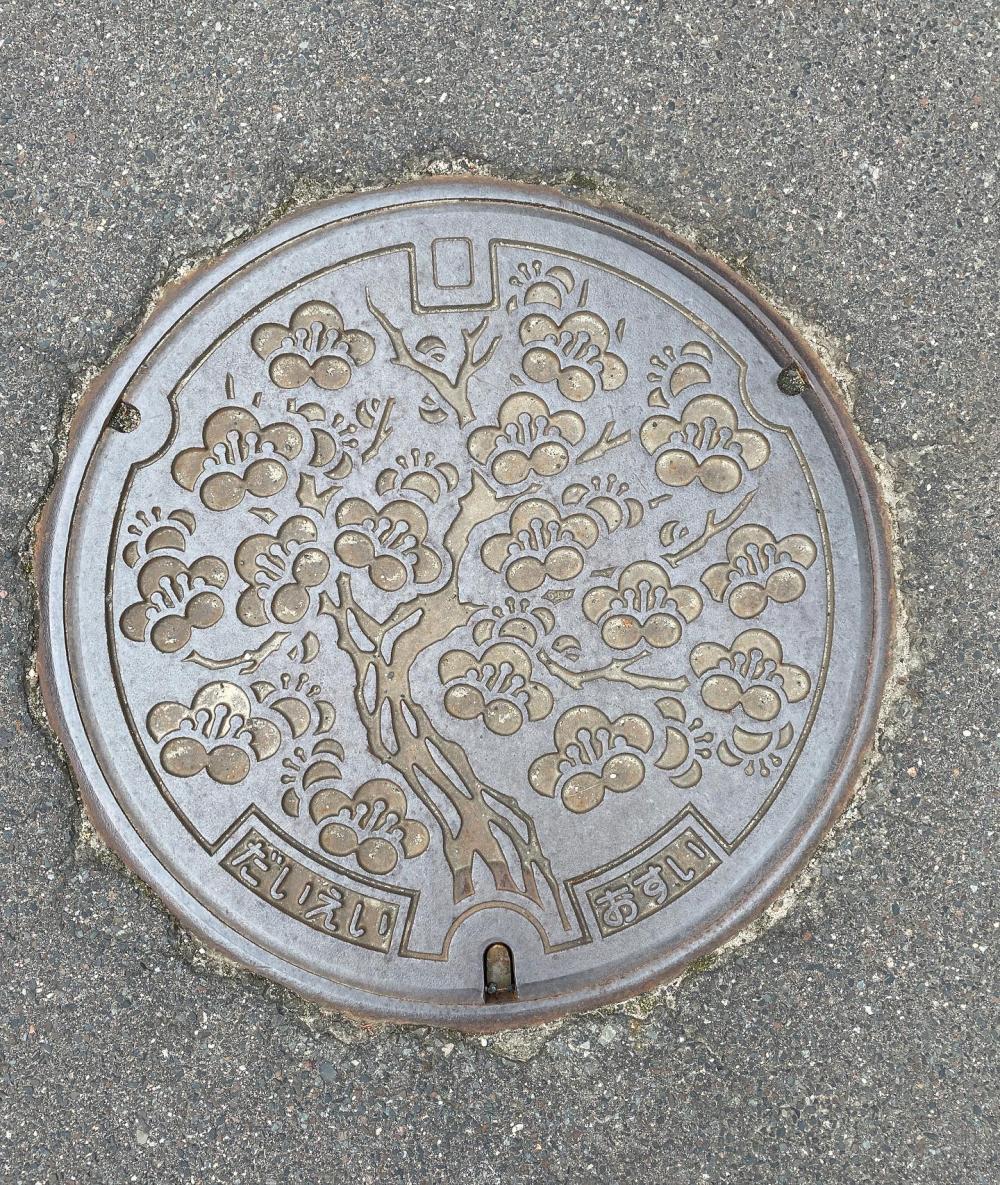 Image17