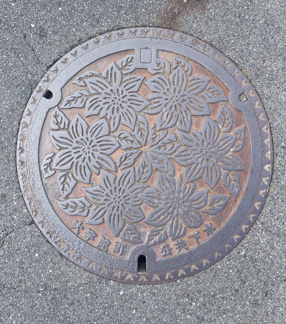 Image7