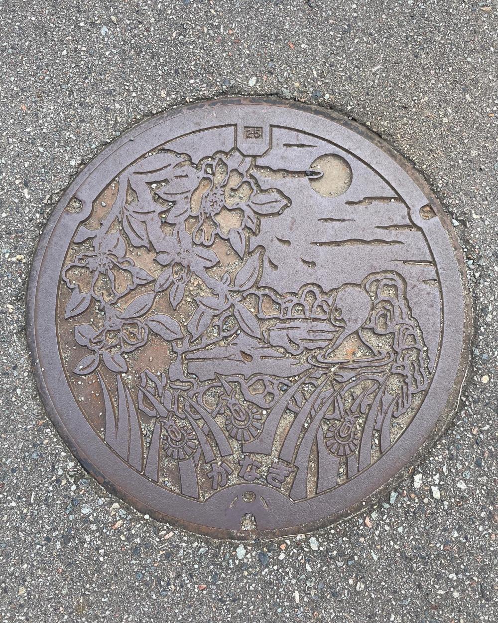 Image1