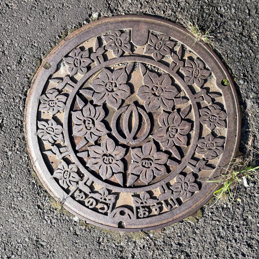 Image12