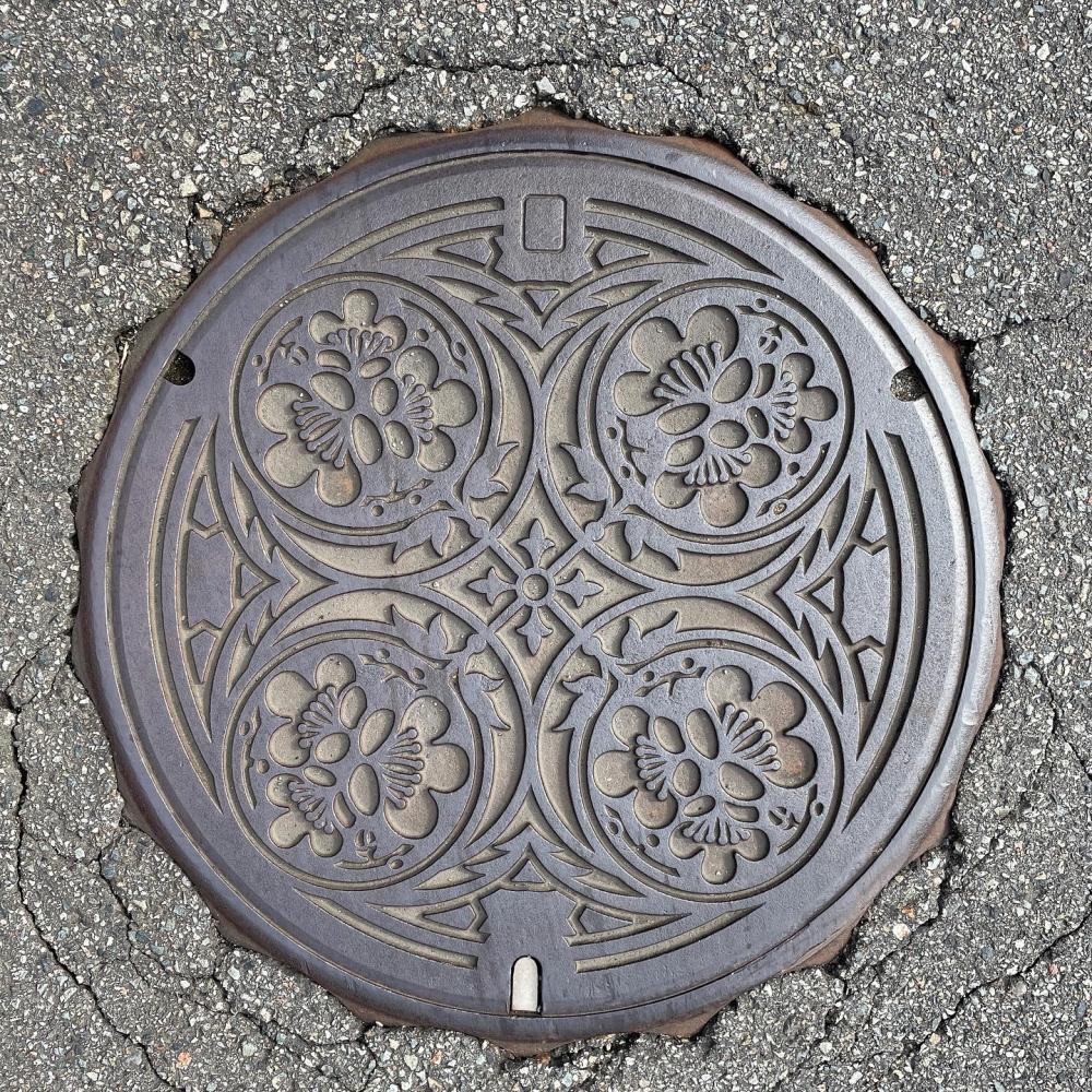 Image2