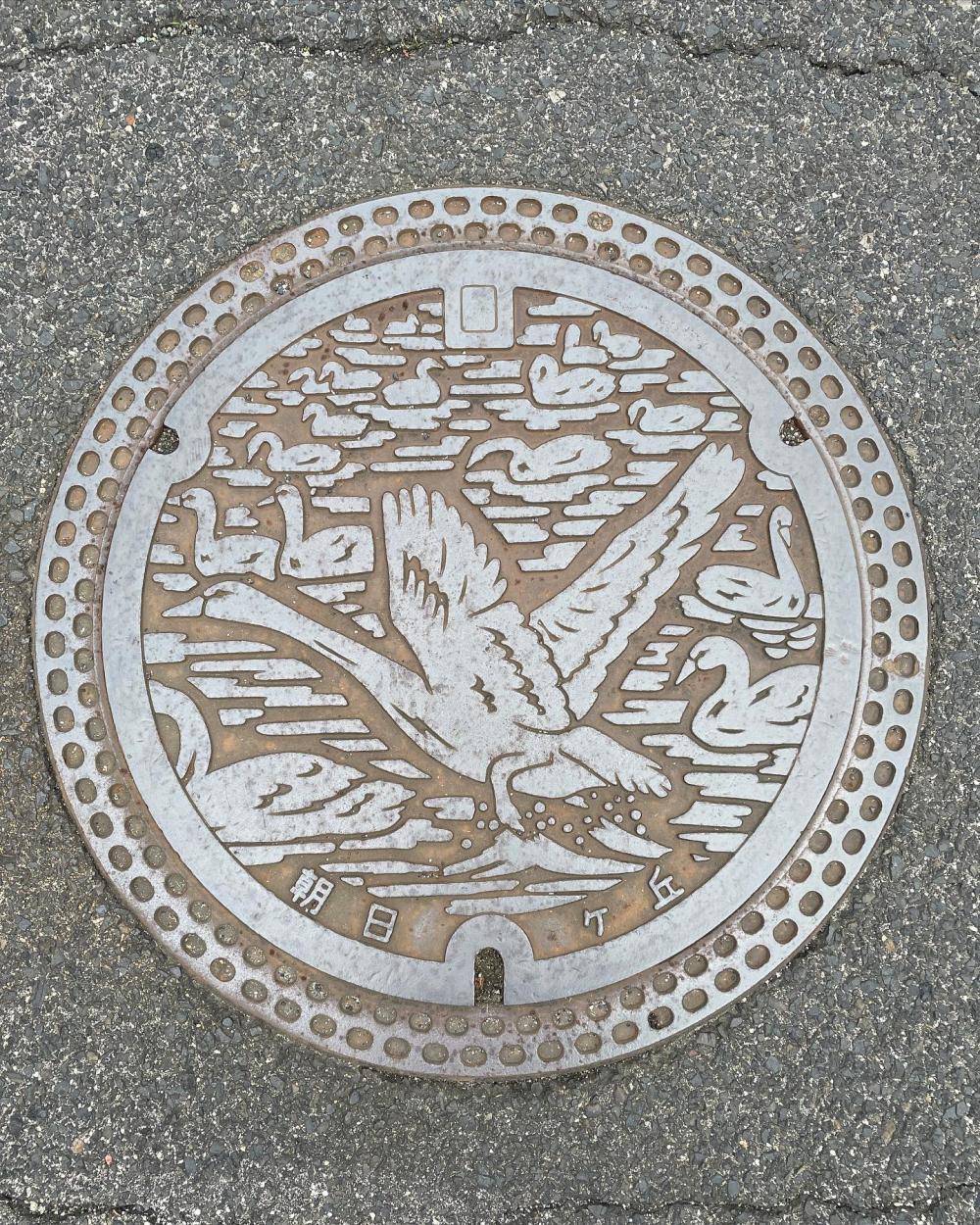 Image16