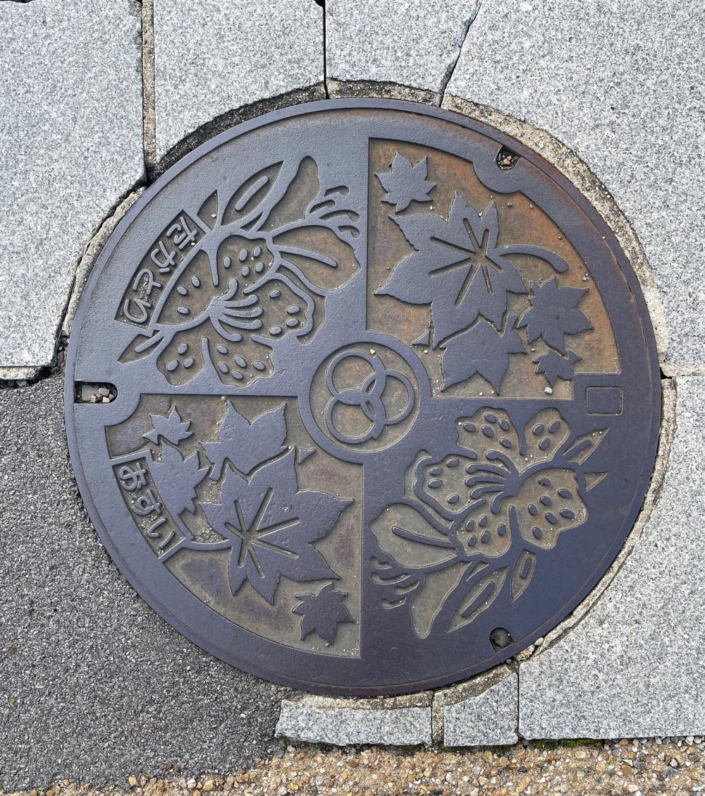 Image4