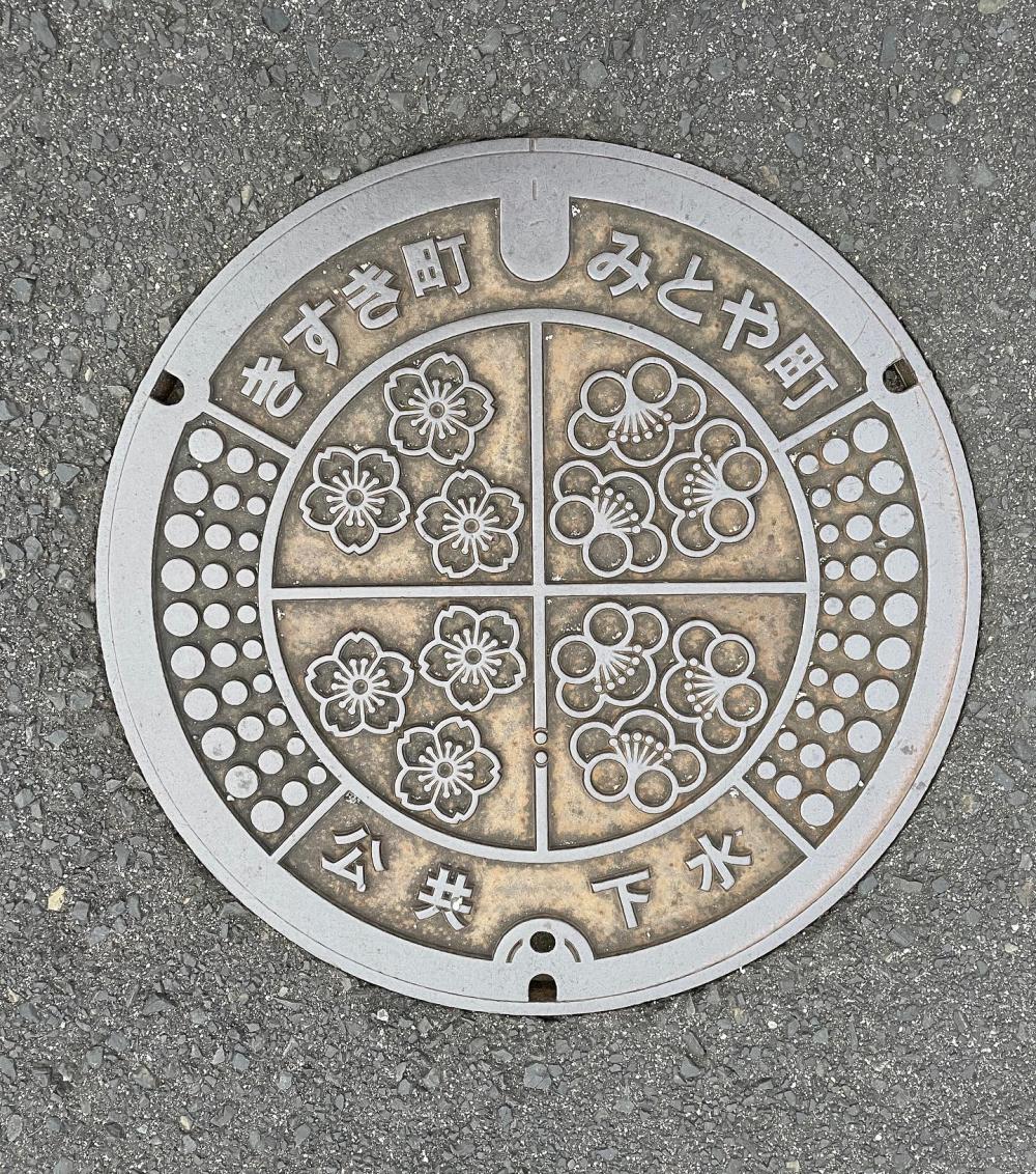 Image11