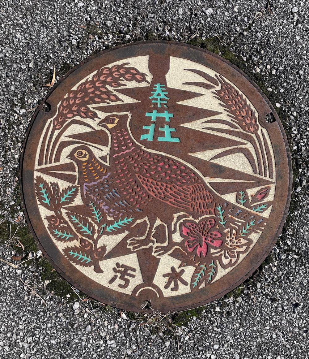 Image1