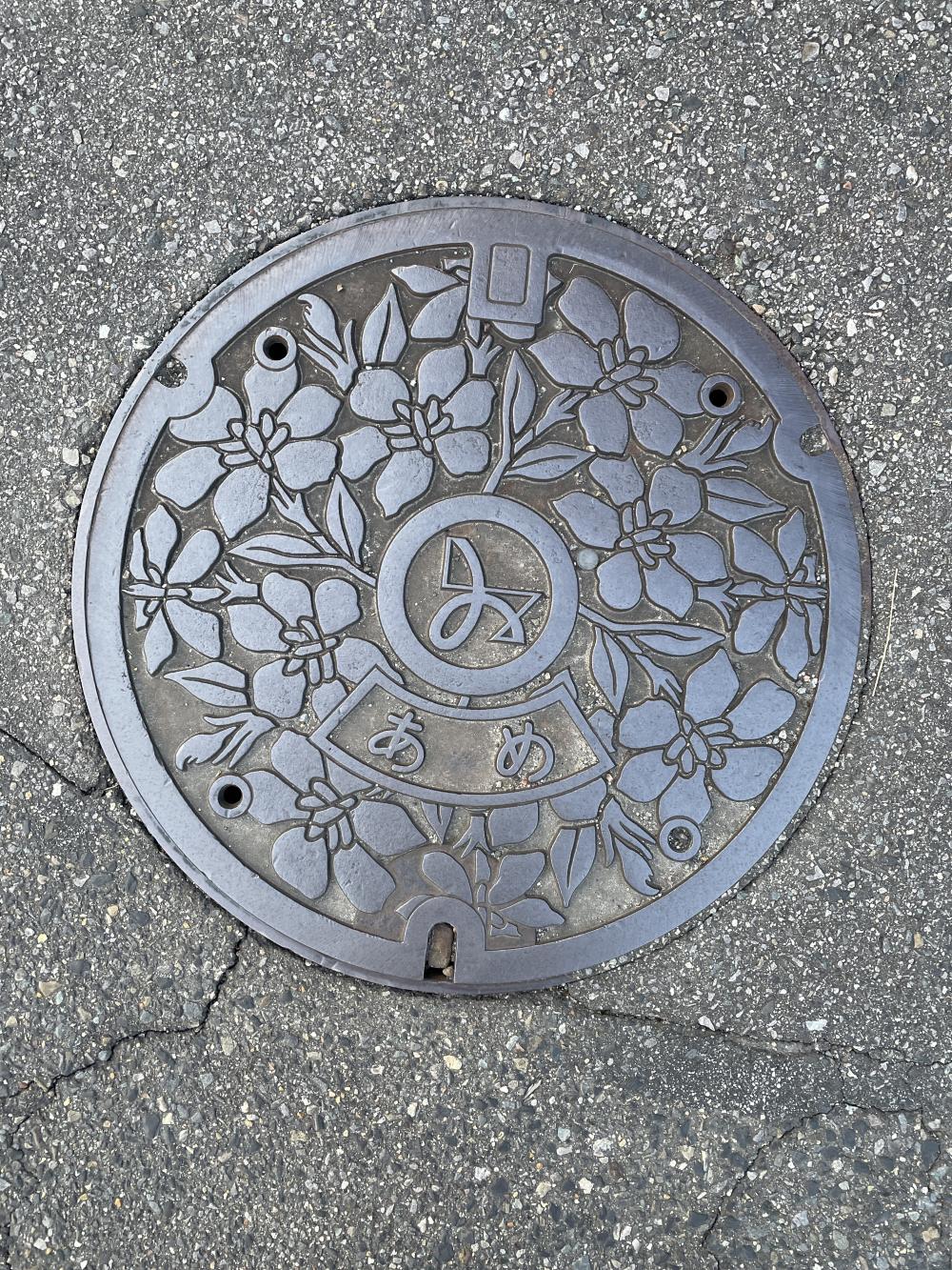 Image2