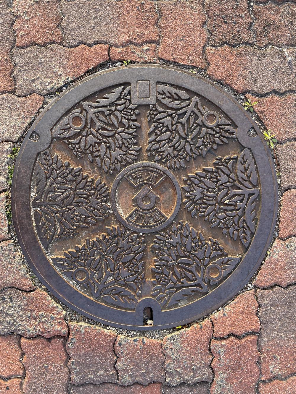 Image4