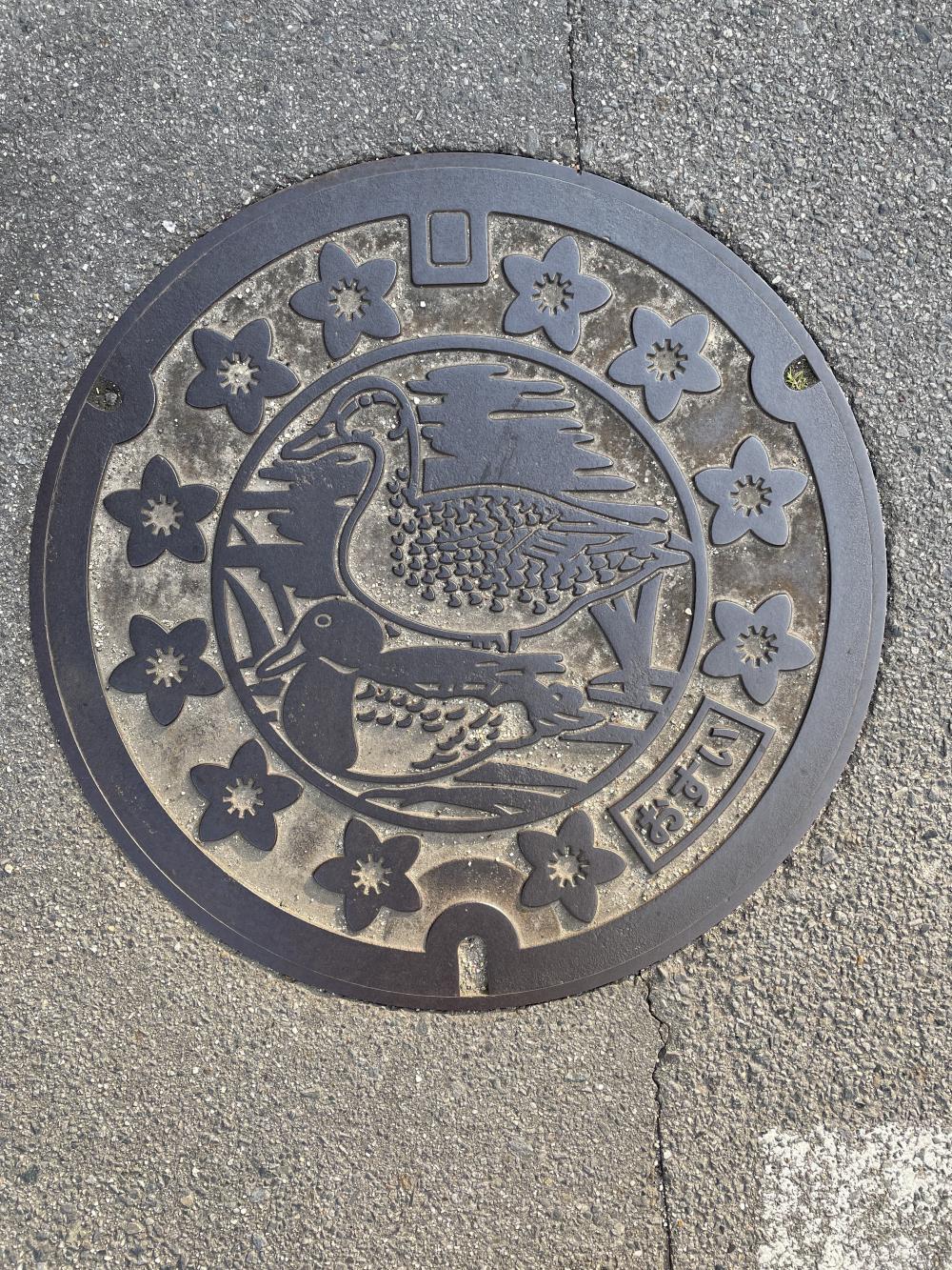 Image5