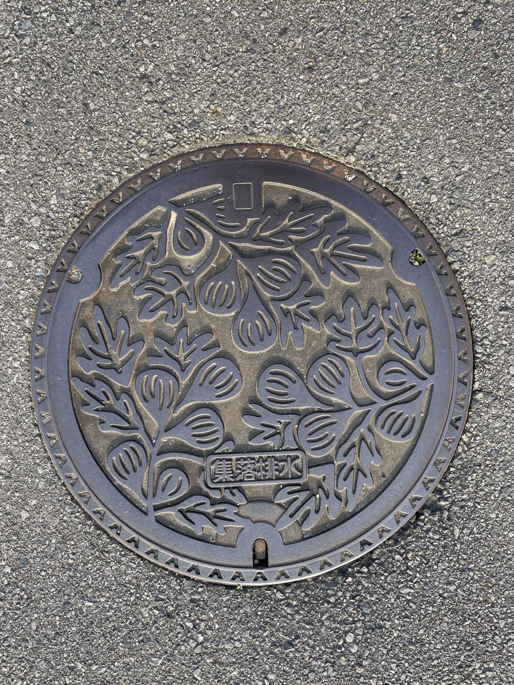 Image6