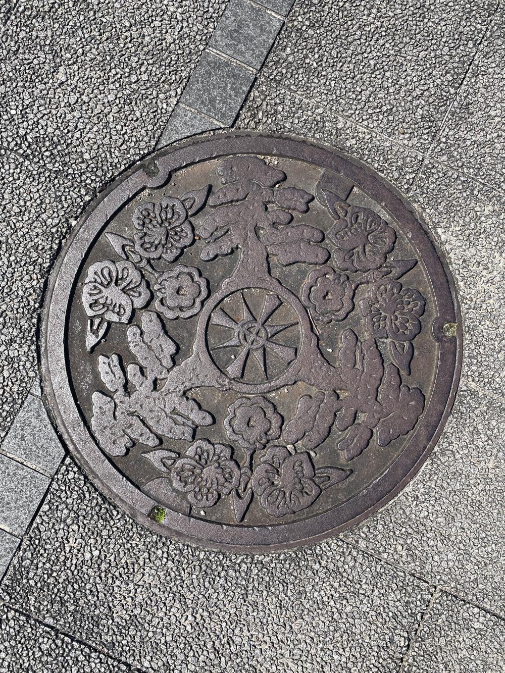 Image1