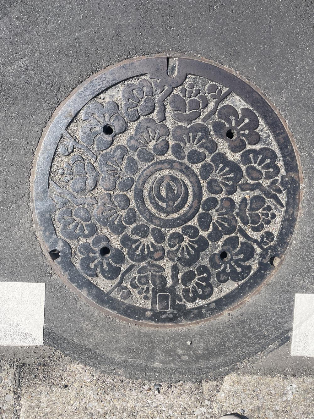 Image4