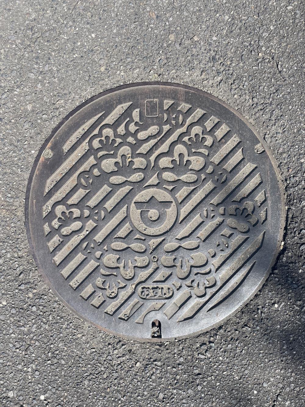 Image5