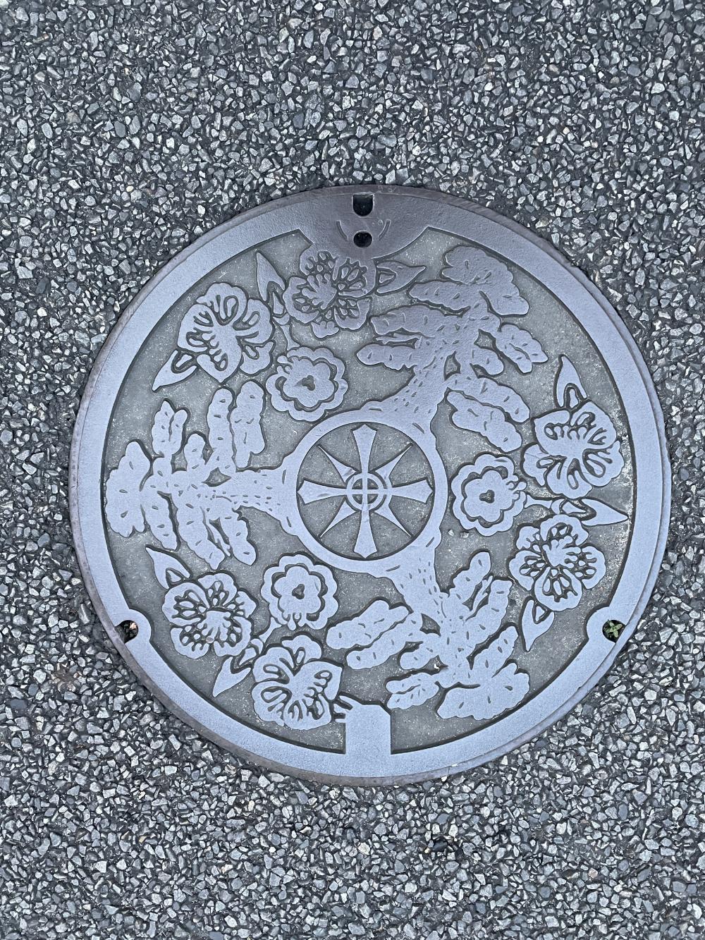 Image6